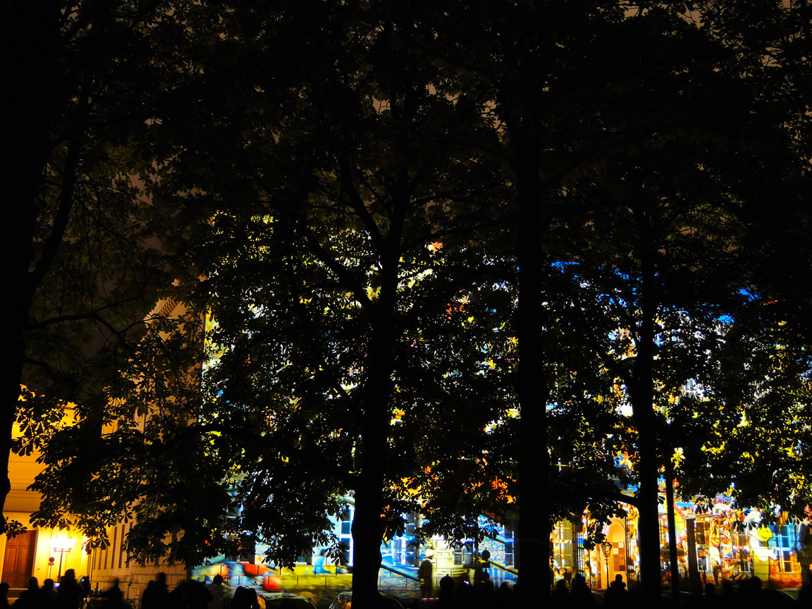 Festival_of_Lights_2015_10_17_212048_DSC03698.jpg