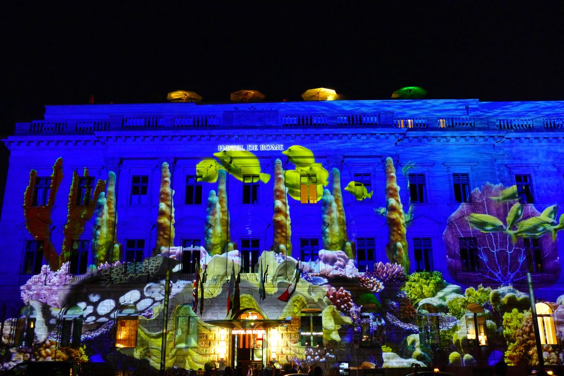 1009_Festival_of_Lights_2021_09_08_204016_P1080754.jpg