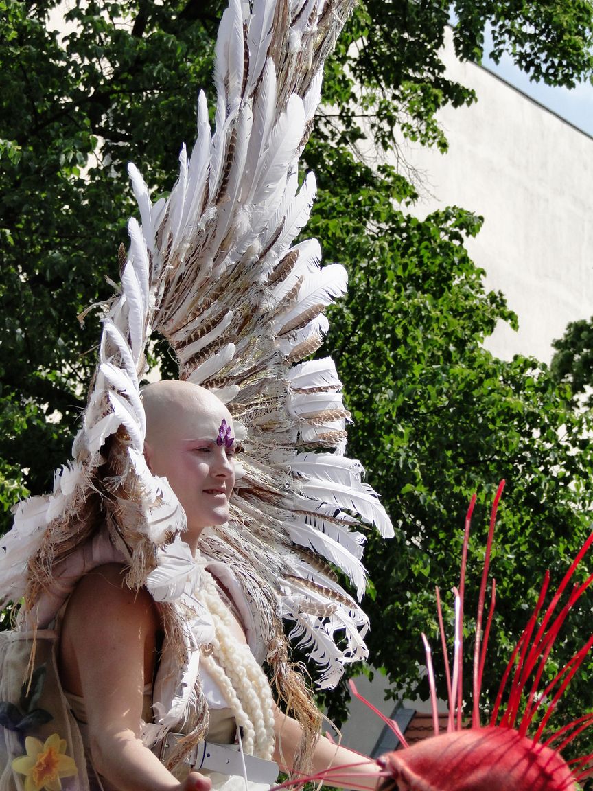 Karneval_der_Kulturen_2010_05_23_145546_DSC02138.jpg