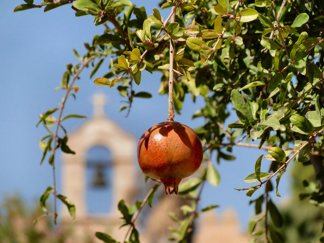 1143_Andalusien_2017_10_08_122941_DSC08217