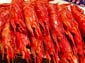 1296_Andalusien_2017_10_18_133307_DSC08615