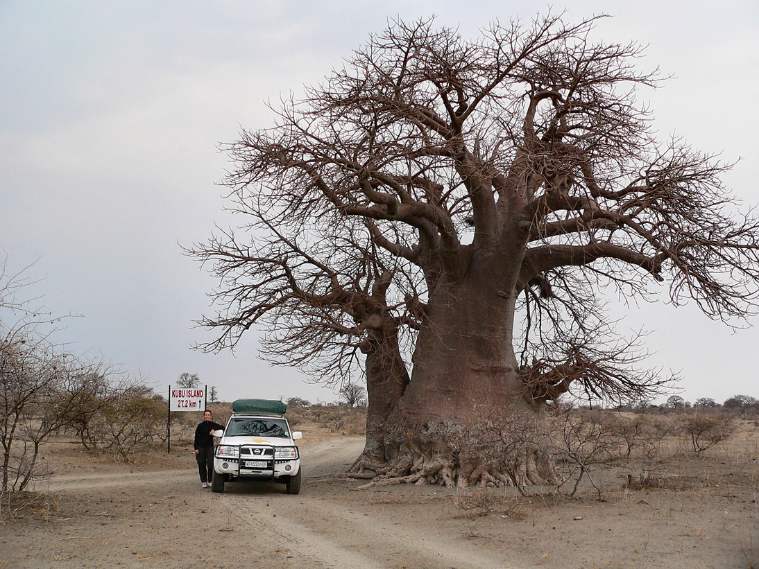 1035_Botswana_20070926-101834_P1080020