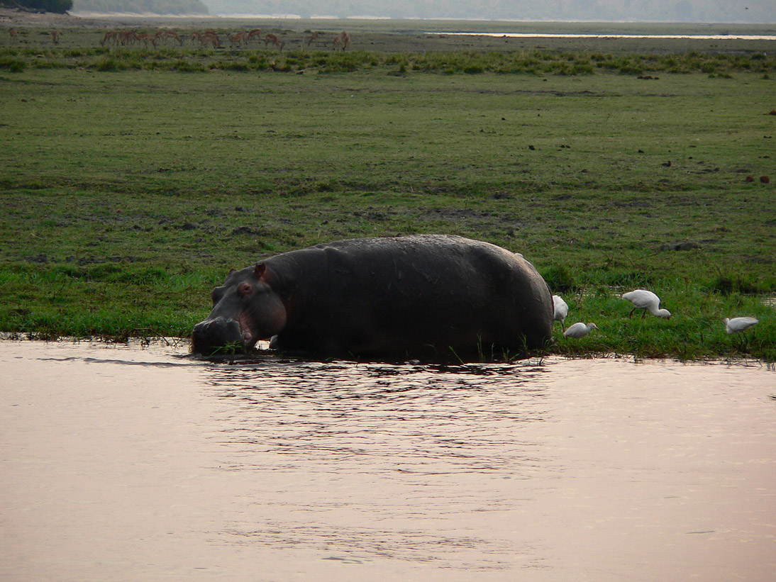 1057_Botswana_20070927-170536_P1080113