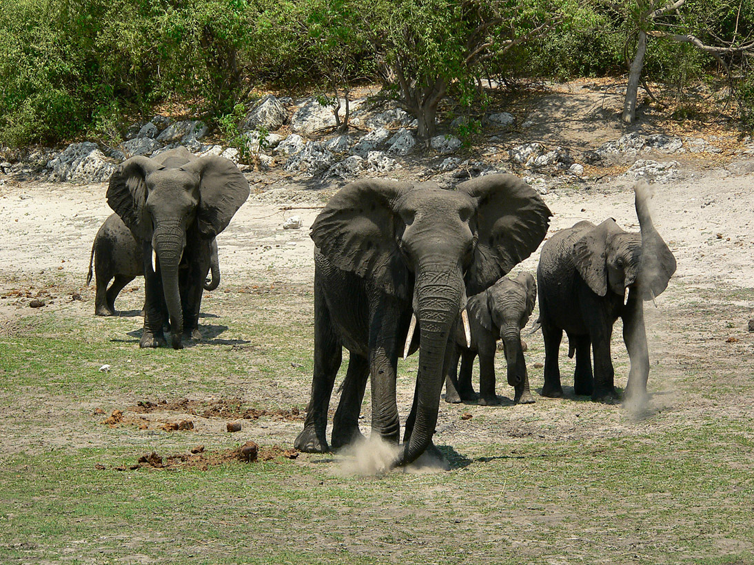 1105_Botswana_20070930-120036_P1080341