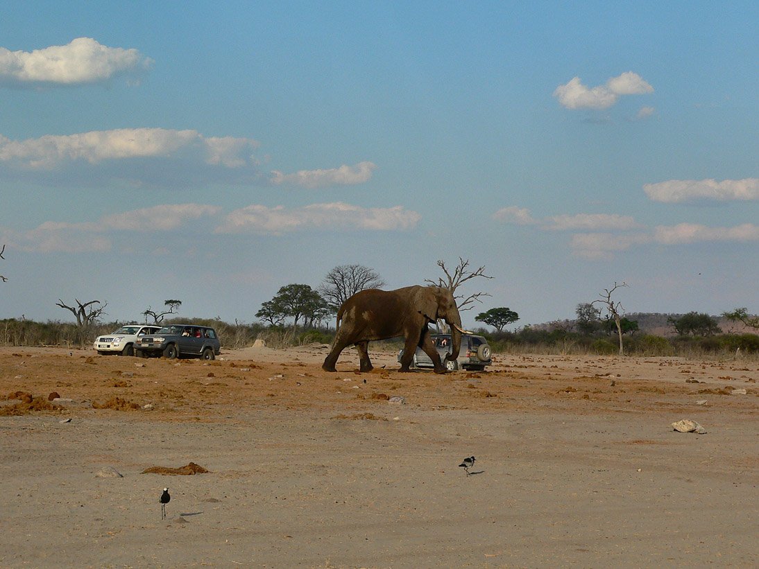 1122_Botswana_20071001-171122_P1080493