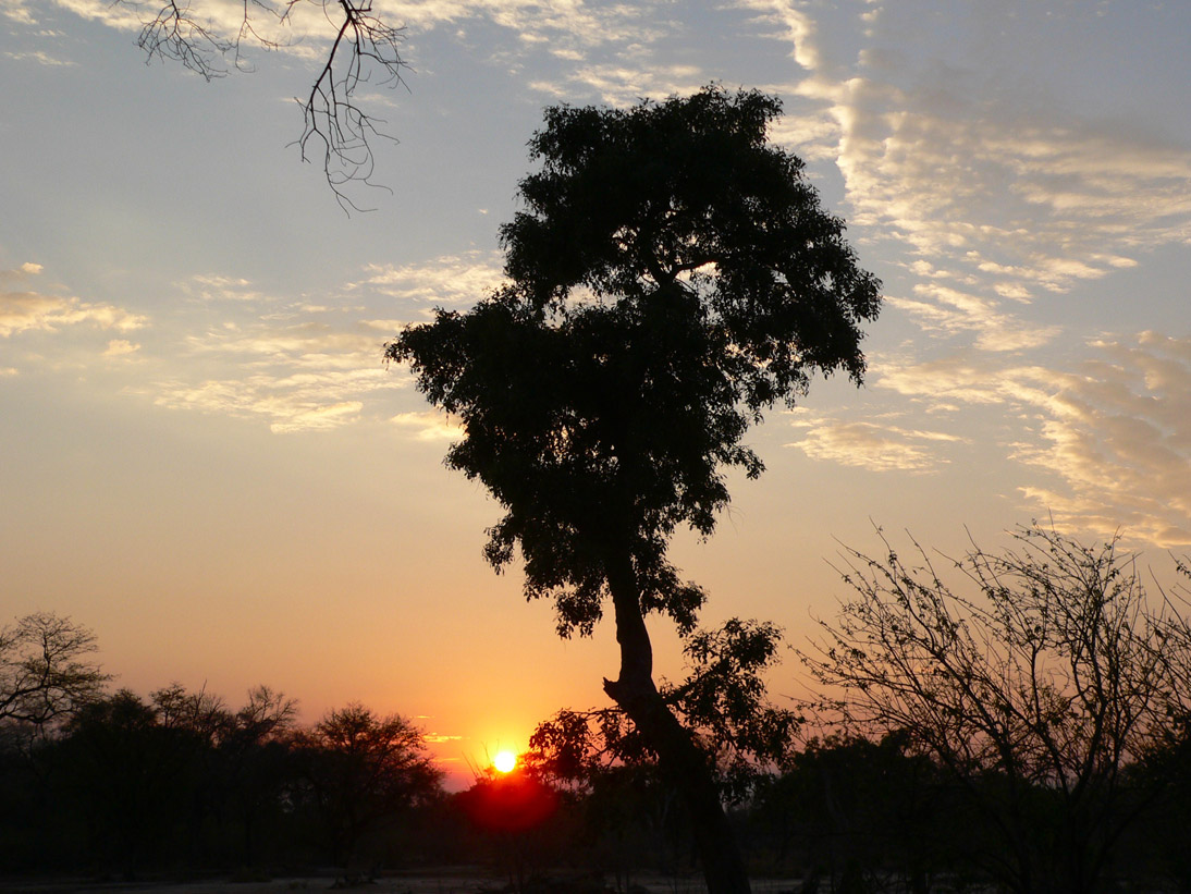 1140_Botswana_20071003-062052_P1080669