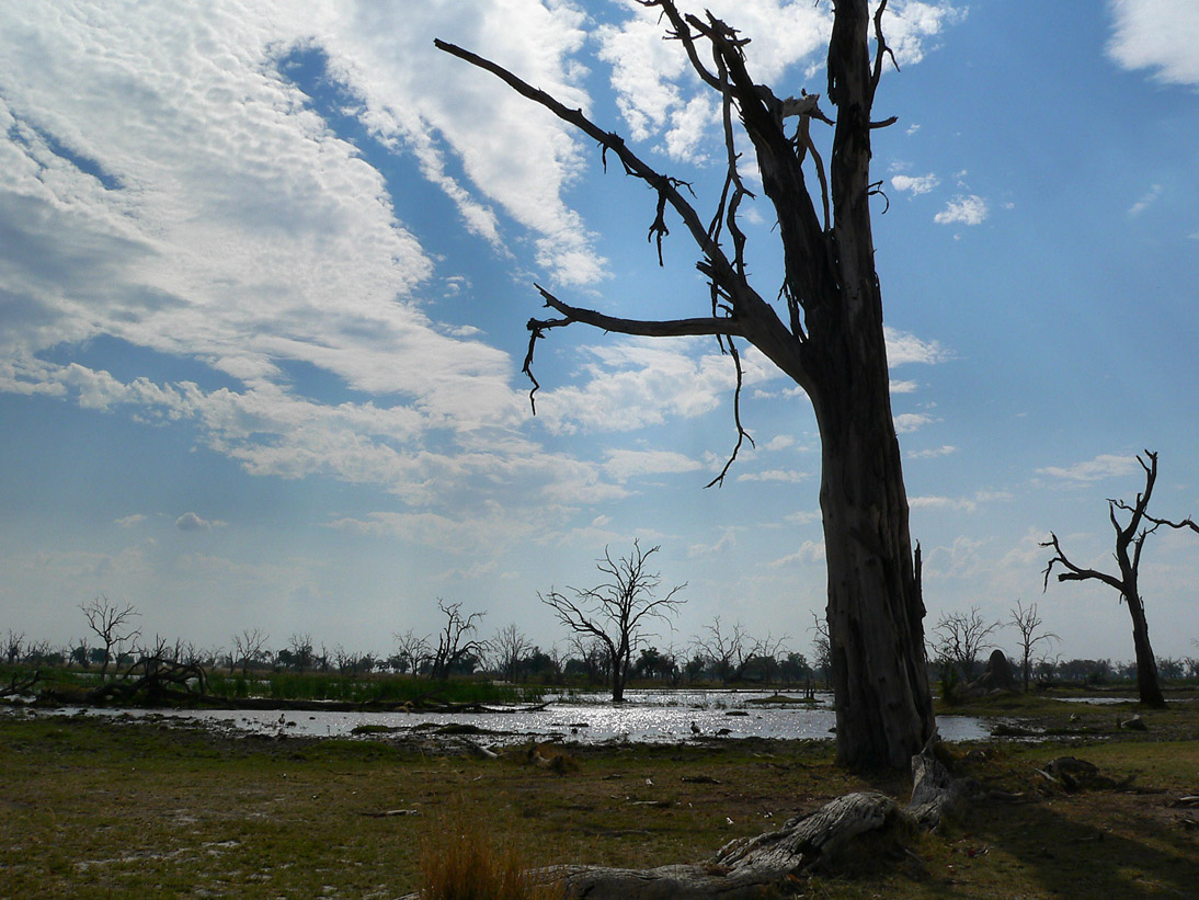 1148_Botswana_20071003-152044_P1080731