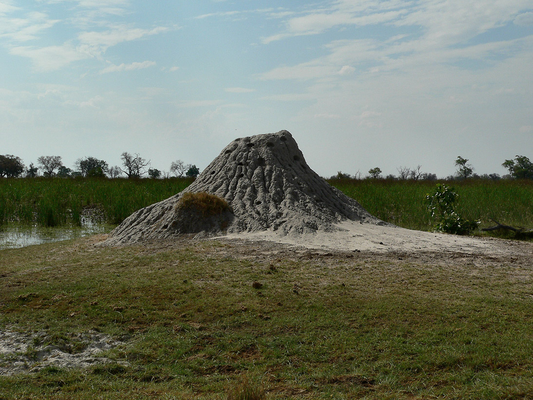 1149_Botswana_20071003-152708_P1080737