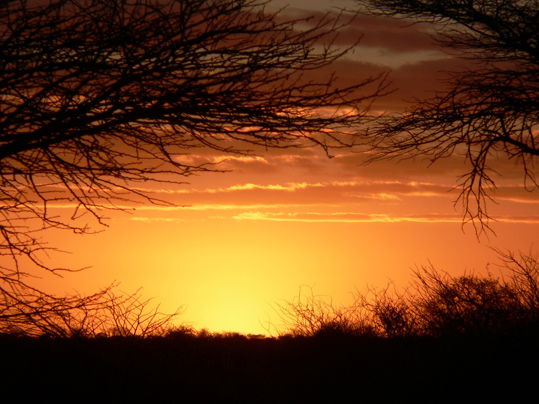 1184_Botswana_20071008-183518_P1080915