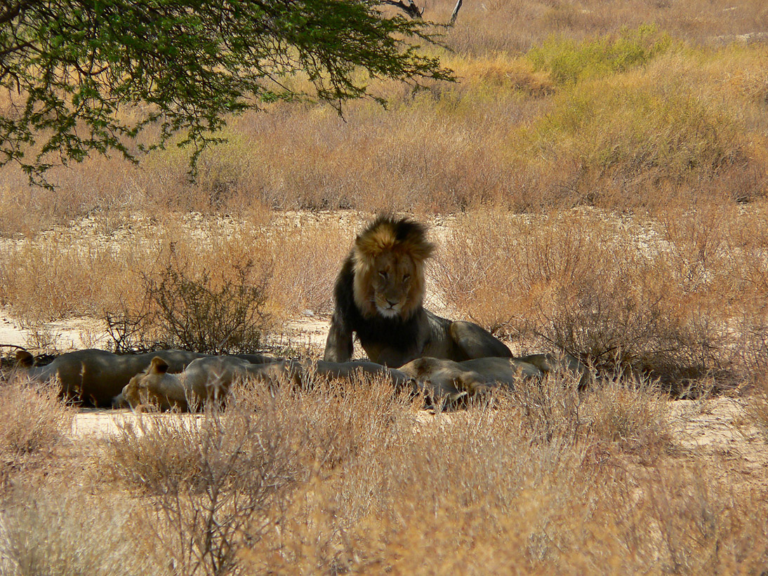 1200_Botswana_20071011-103946_P1090128