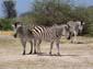 1153_Botswana_20071004-101322_P1080769