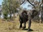 1156_Botswana_20071004-114648_P1080791