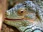 1083_Brasilien_20061112_104846_P1050696