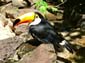 1087_Brasilien_20061112_111828_P1050711