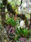 1233_Brasilien_20061118_094536_P1060110