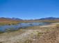 1096_20111108_112444_Chile_Argentinien_DSC05101