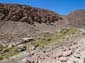 1100_20111108_150956_Chile_Argentinien_DSC05107