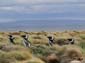1169_20111111_180832_Chile_Argentinien_DSC05380