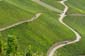 1534_Deutschland_2020_10_05_113729_P1060826