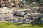 1404_Griechenland_2024_10_04_124601_P1011103