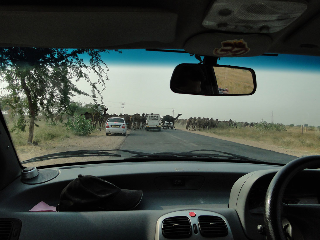 1160_20101107_151406_Indien2010_DSC03246