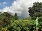 1548_Jamaika_2017_04_27_145418_DSC07447
