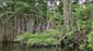 1637_Jamaika_2017_04_29_112629_DSC07504