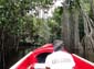 1661_Jamaika_2017_04_29_113037_DSC07511