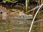1665_Jamaika_2017_04_29_111257_DSC07494