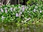 1669_Jamaika_2017_04_29_110952_DSC07491