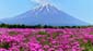 1208_Japan_2023_05_03_120425_P1120030