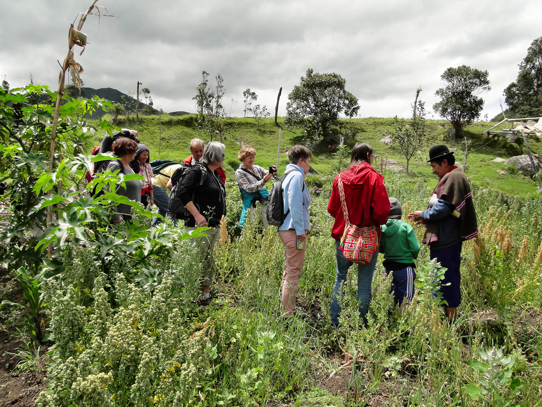 1176_Kolumbien_2016_11_06_111226_DSC06806