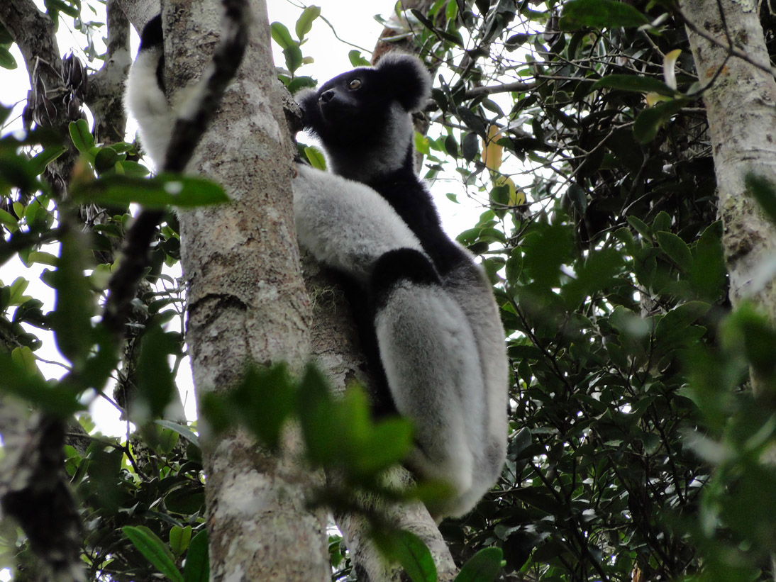 1080_20120430_093308_Madagaskar_DSC06568