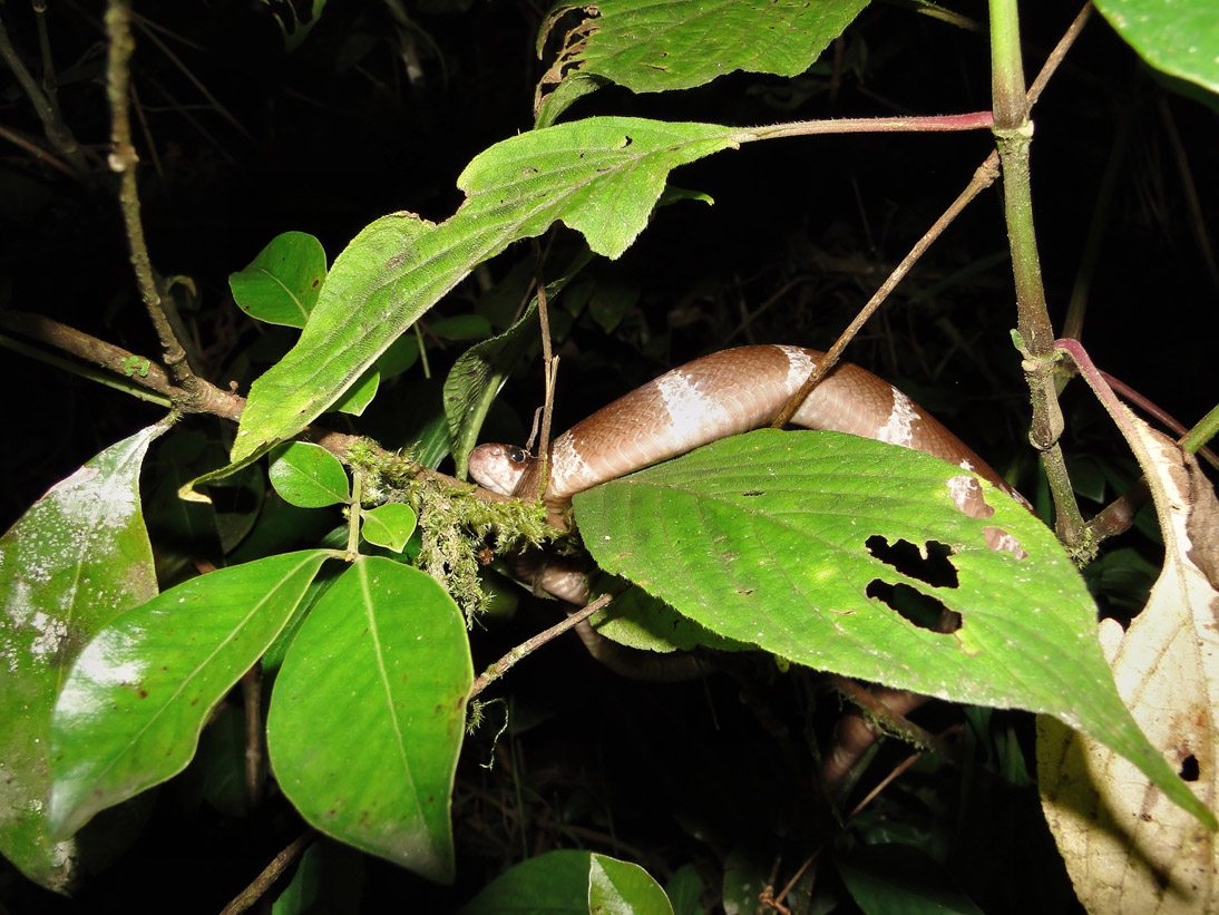 1278_20120506_180546_Madagaskar_DSC07031