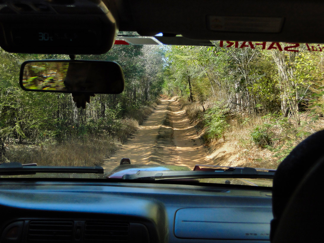 1441_20120515_111536_Madagaskar_DSC07380