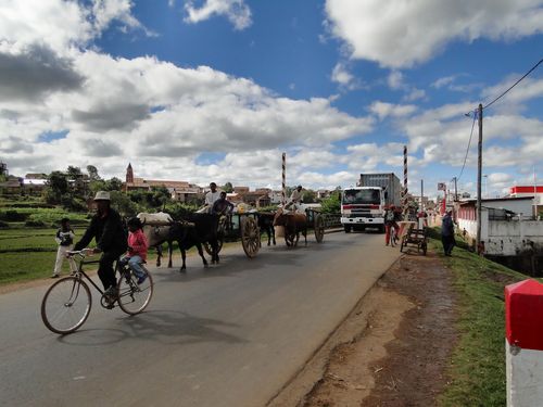 1148_20120502_140708_Madagaskar_DSC06783.jpg