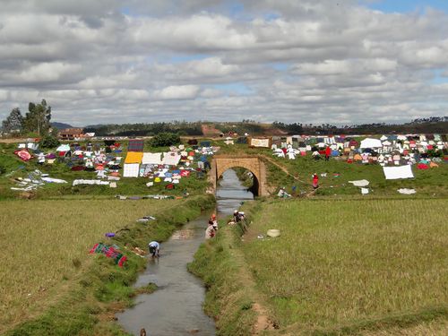 1150_20120502_140754_Madagaskar_DSC06784.jpg