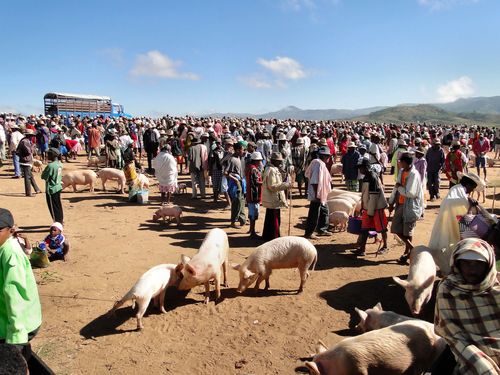 1285_20120507_093146_Madagaskar_DSC07060.jpg