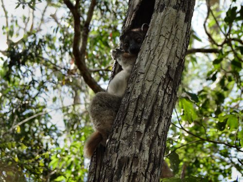 1444_20120515_121326_Madagaskar_DSC07408.jpg