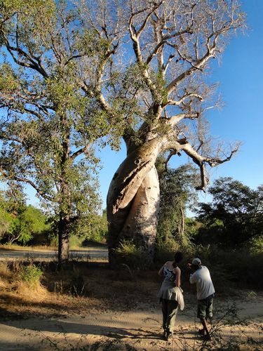 1452_20120515_162810_Madagaskar_DSC07471.jpg