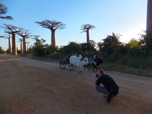 1456_20120515_170348_Madagaskar_DSCF1120.jpg