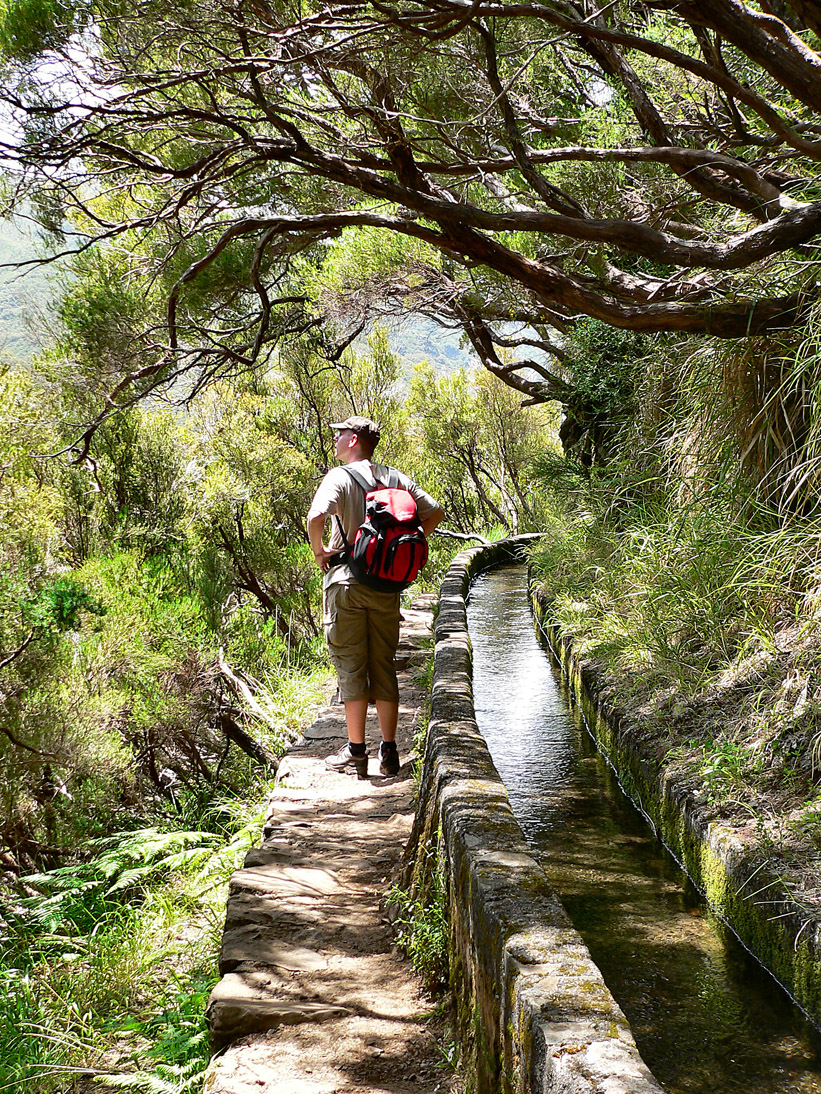 1060_Madeira_2006_P1040655