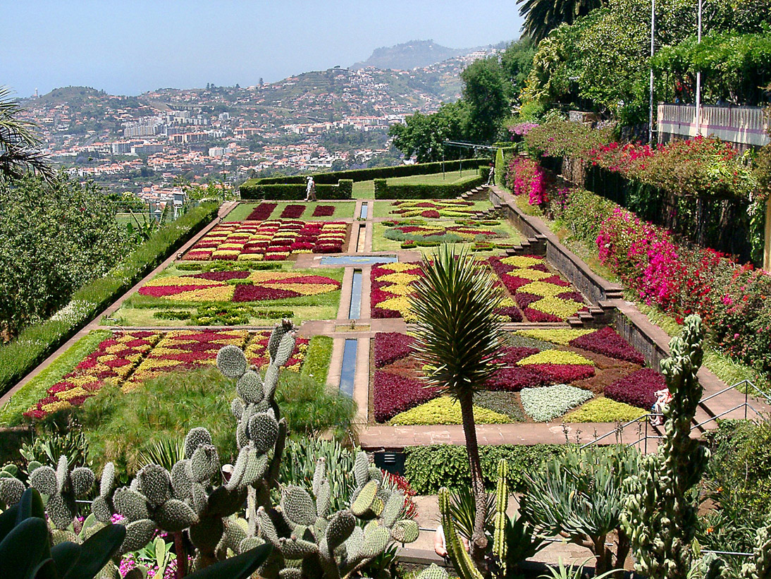 1158_Madeira_2006_IMGP5617