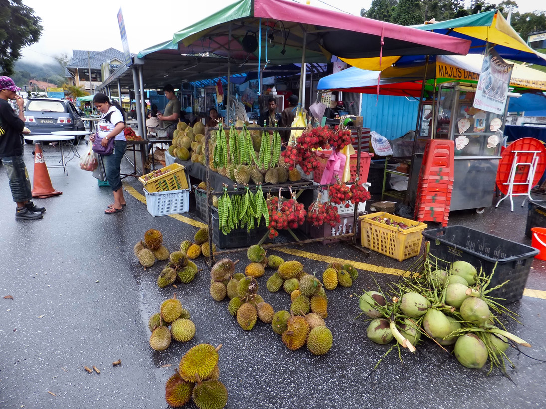 1170_20121121_171144_Malaysia_DSCF2136