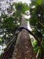 1124_20121118_101246_Malaysia_DSCF2073