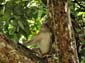 1132_20121118_132242_Malaysia_DSC08388
