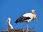 1036_Marokko_2013_11_06_110903_DSC09709