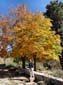 1102_Marokko_2013_11_08_125412_DSC09878