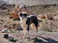 1106_Marokko_2013_11_08_144413_DSC09895