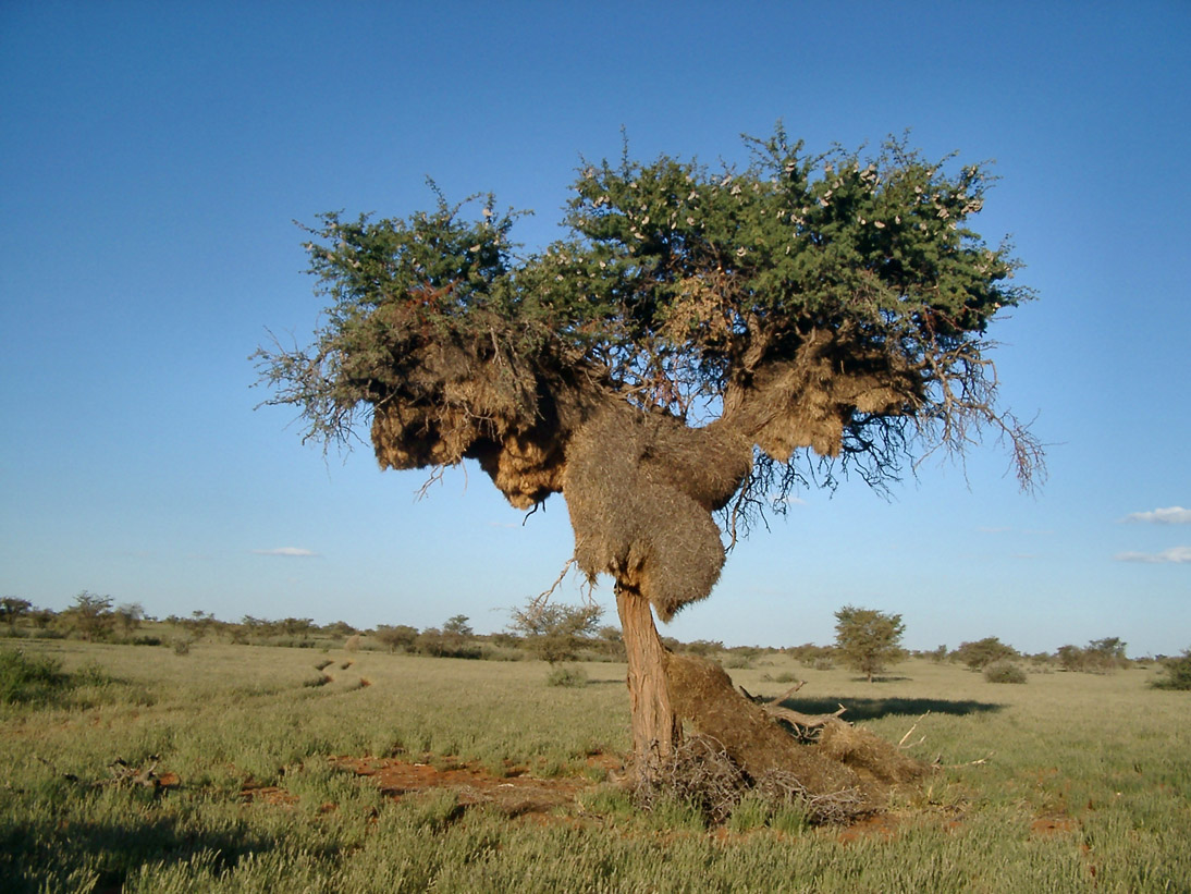 0053_0052_Namibia-050502-161518_IMGP4441